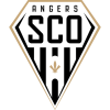 Badge of Angers
