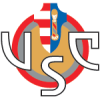 Badge of Cremonese