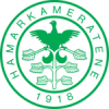 Badge of HamKam