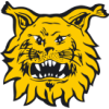 Badge of Ilves